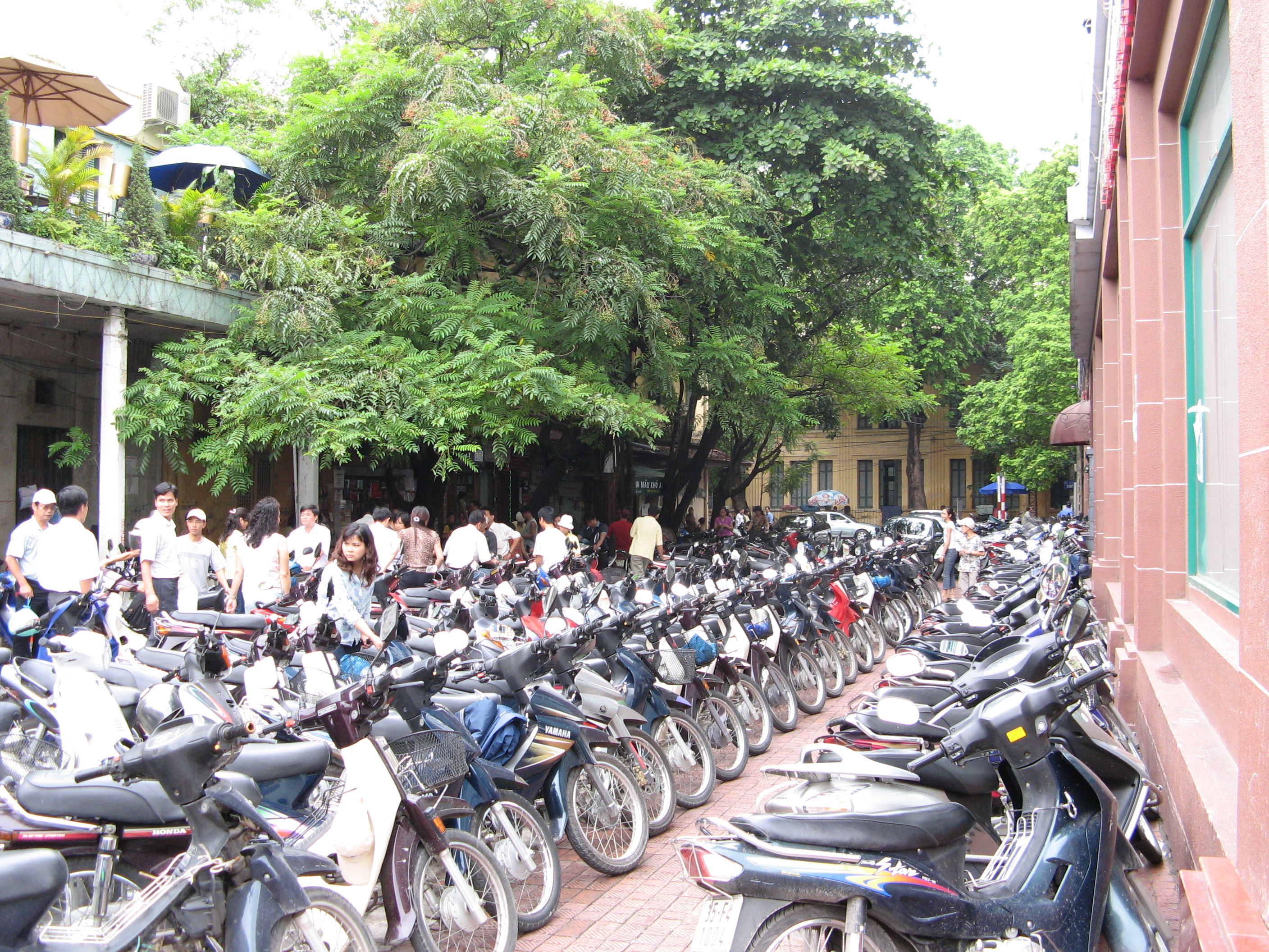 Dense motorcycle traffic in Hanoi as context for dependency pressure